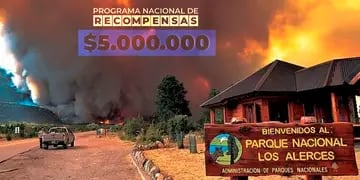 El Gobierno dará una millonaria recompensa a quiénes aporten datos del incendio en el Parque Nacional Los Alerces