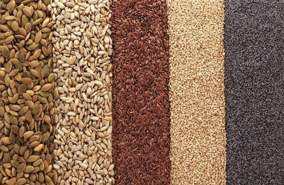 Las cuatro semillas que cambiarán tu alimentación