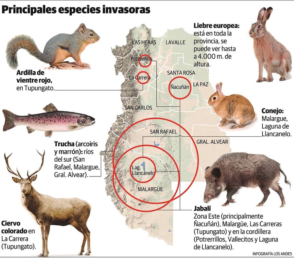 Principales especies invasoras en Mendoza
