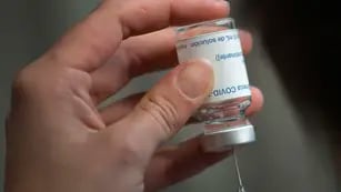 Mendoza recibirá más de 30 mil dosis de la vacuna AstraZeneca entre mañana y el sábado