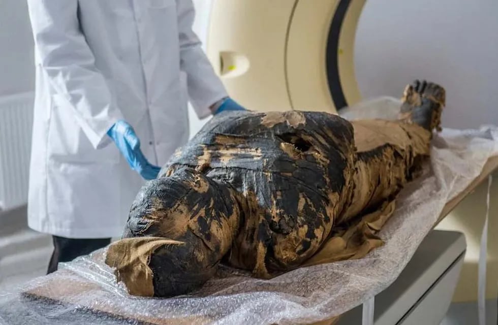 Científicos anunciaron el descubrimiento de la primera momia egipcia embarazada