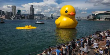 Patito inflablemás grande del mundo ‘fallece’ en Hong Kong