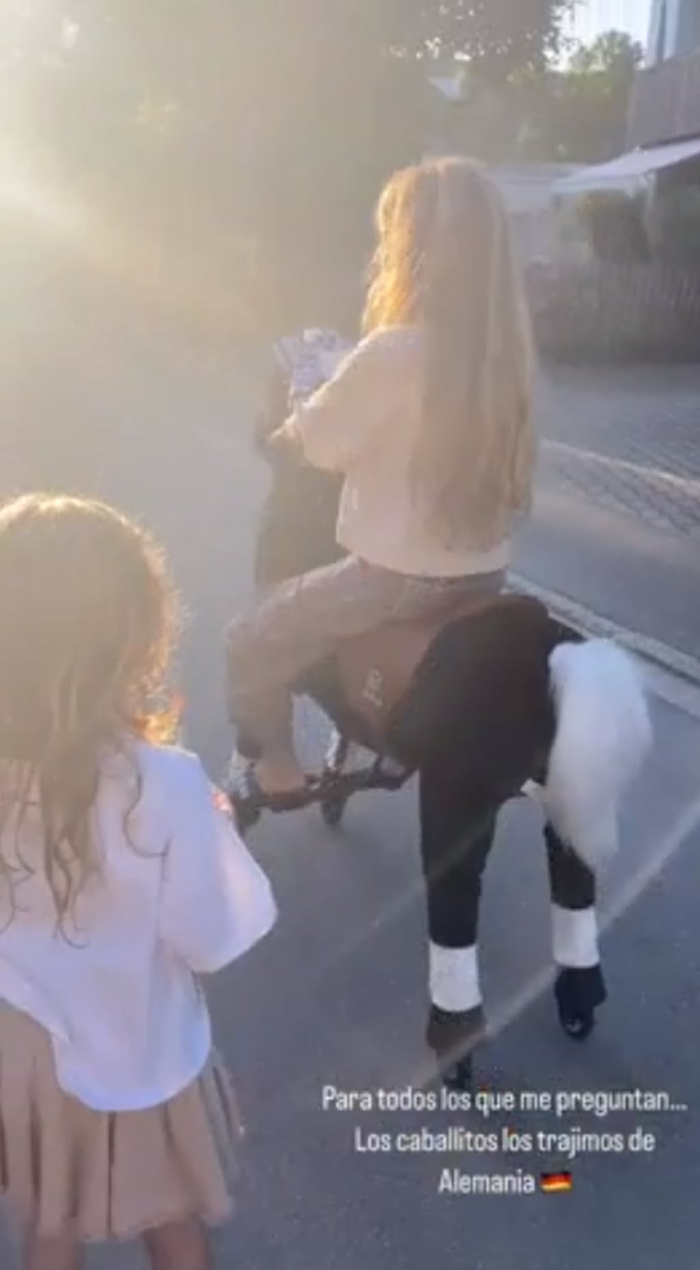 La modelo mostró el caballo de juguete que le trajo a sus hijas desde Alemania / Foto: Instagram