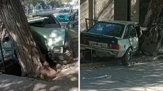 Circulaba sin carnet ni cinturón y estrelló el auto contra un árbol en Ciudad: tres niños sufrieron heridas. | Foto: Ministerio de Seguridad y Justicia