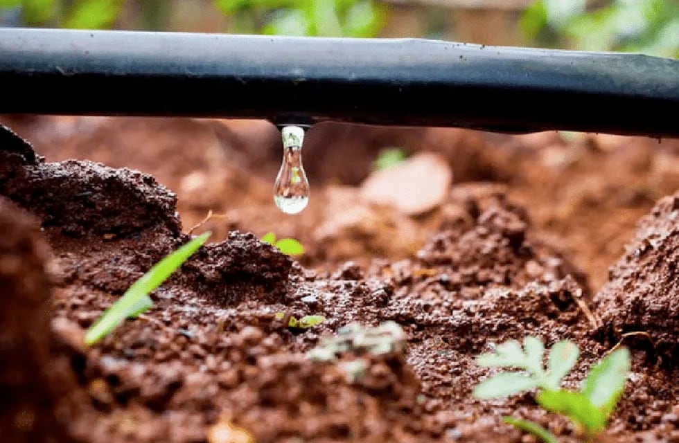 Desde el “INA afirman que, por no estar tecnificado el riego agrícola, se pierden 387 mil millones de litros de agua al año, un número superior al que se utiliza para consumo humano en toda la provincia”.