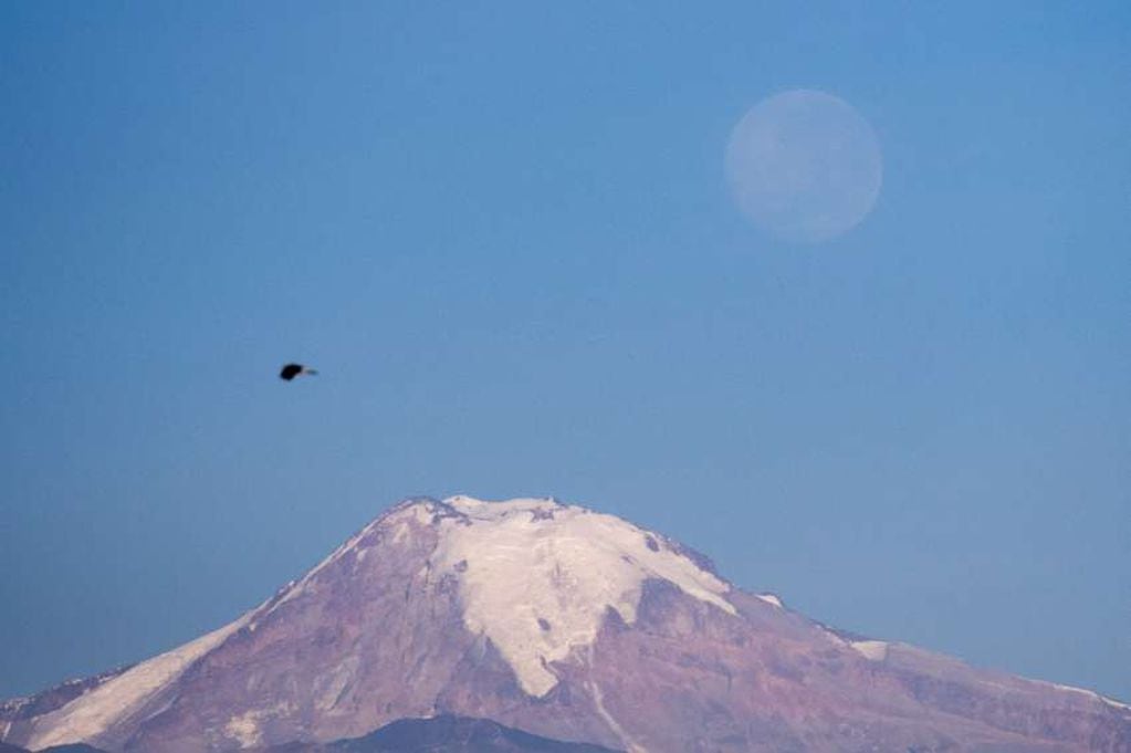 
    La Superluna "casi tocando" el Volcan Tupungato Foto: Ignacio Blanco
   