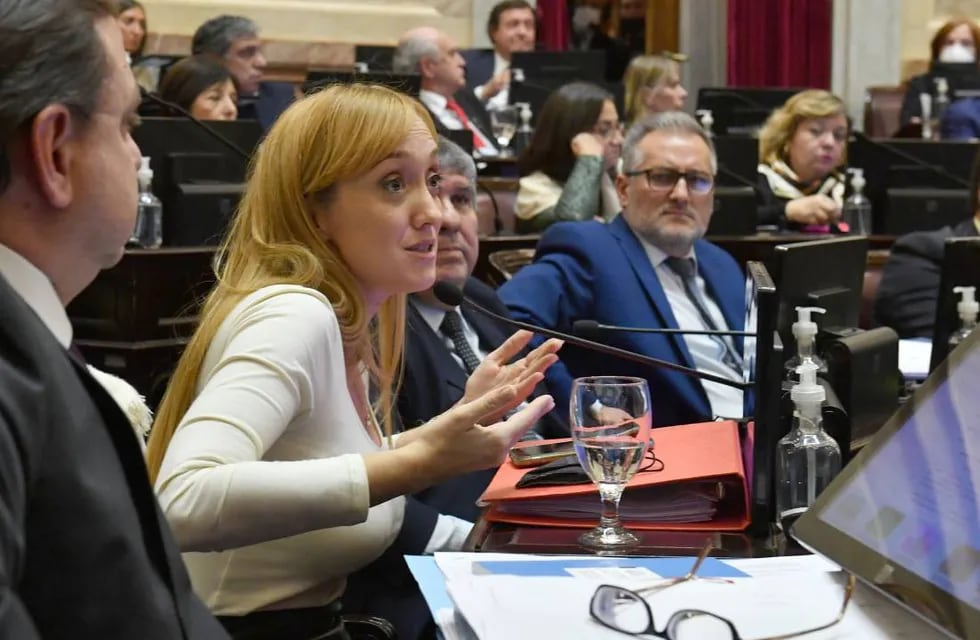 Anabel Fernández Sagasti, senadora mendocina. Foto: Corresponsalía