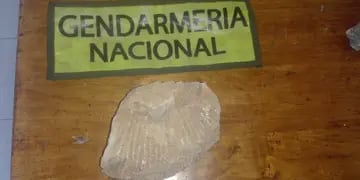 Detuvieron en San Rafael a 2 hombres con hongos alucinógenos, marihuana y 11 restos fósiles ocultos. Foto: Prensa Gendarmería Nacional.