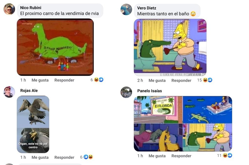 Los memes del "cocodrilo" de Rivadavia