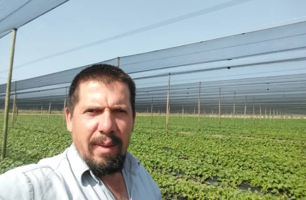 Entrevista a Enzo García productor de General Alvear, líder de un emprendimiento agrícola que produce ciruelas, duraznos, tomates y uva.