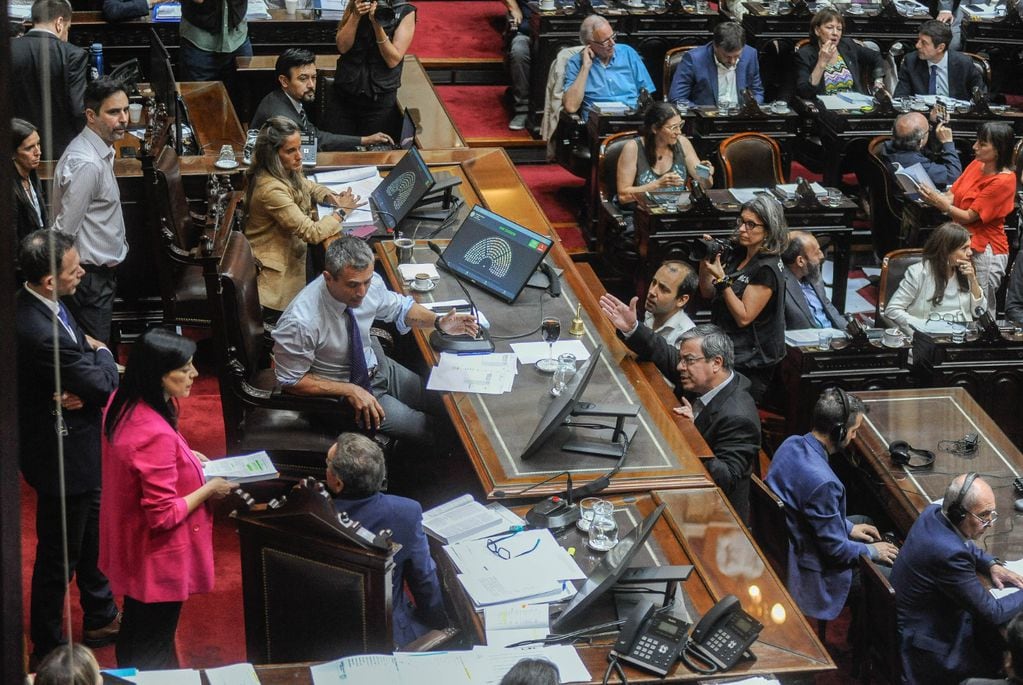 Escándalo en Diputados y marcha atrás con la ley ómnibus: vuelve a comisión por pedido de Javier Milei. Foto: Federico Lopez Claro