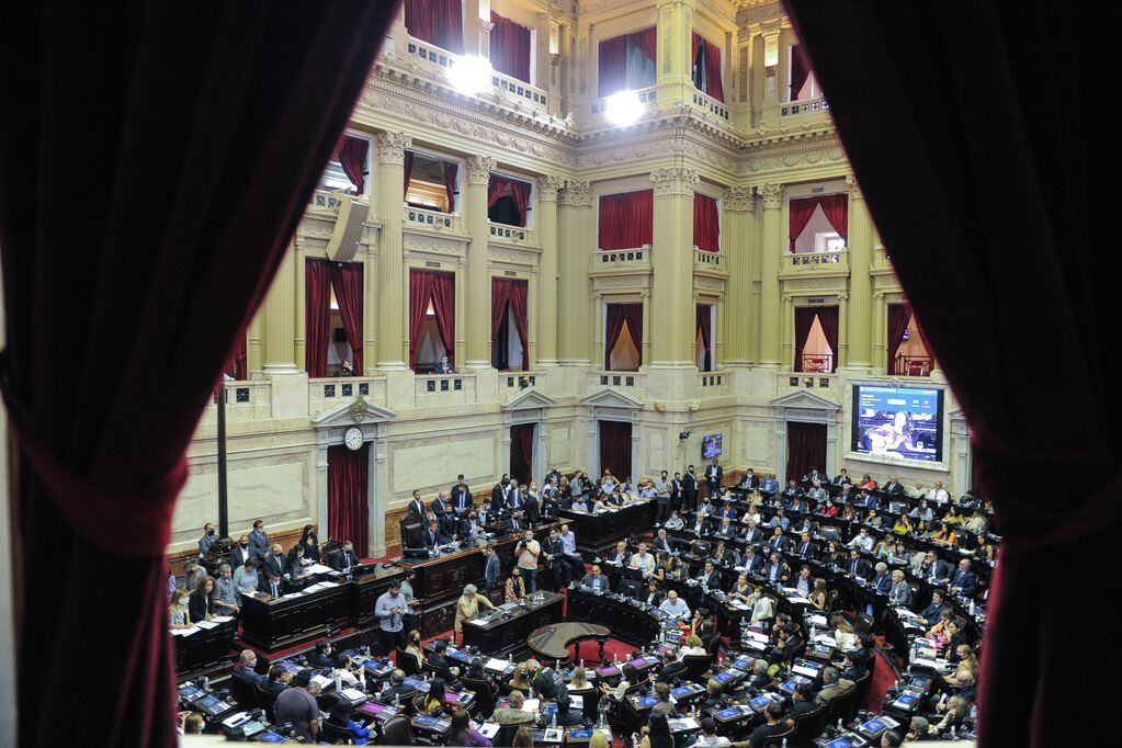 Tanto la Cámara de Diputados como el Senado sesionaron menos veces que en 2020 (Foto: Federico López Claro)