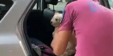 Video: un policía rompió el vidrio de un auto para rescatar a un perrito al que su dueño había dejado encerrado con 38 grados
