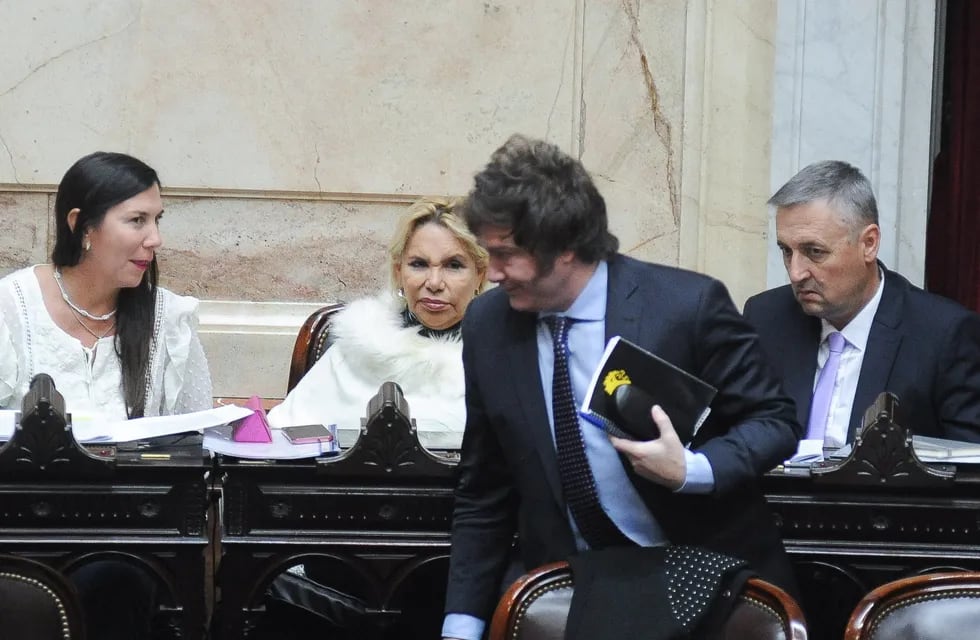 Javier Milei deberá conseguir los votos para aprobar el primer Presupuesto de su gestión (Foto: Federico López Claro)