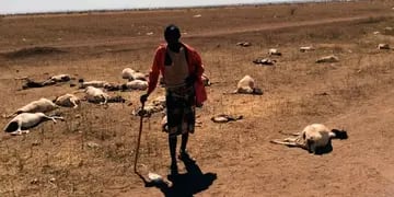 Sequía mortal en Somalia