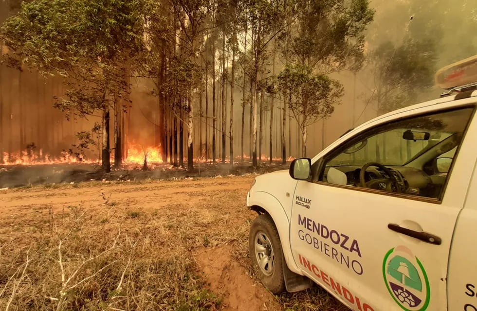 Brigadistas mendocinos en los incendios de Corrientes