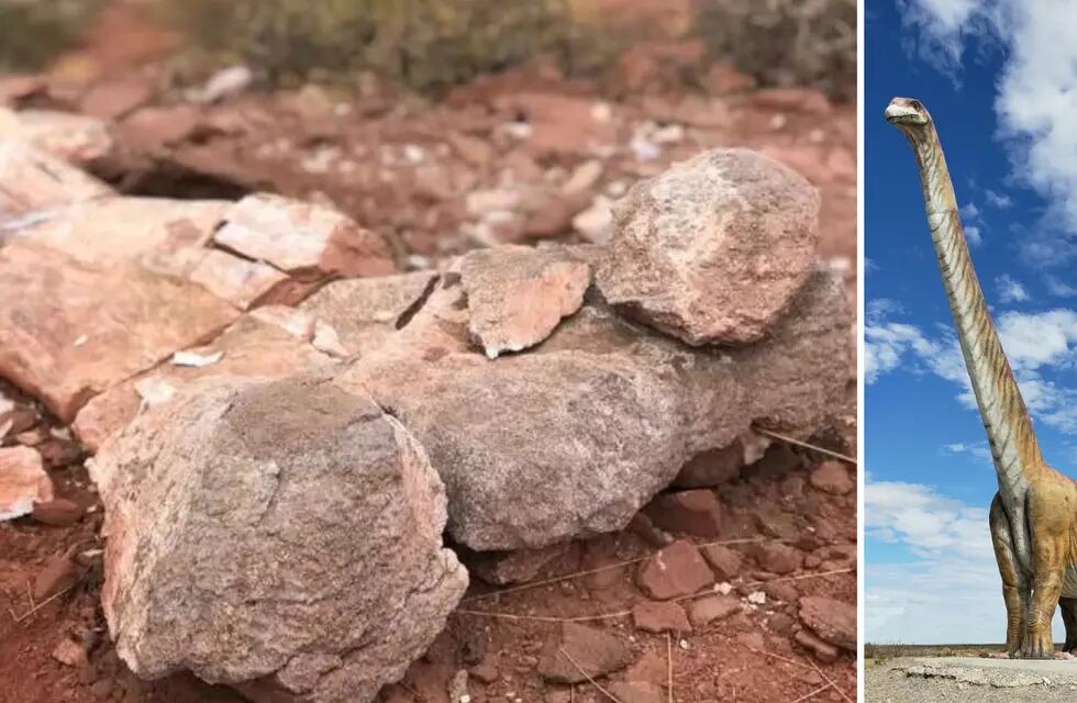 Investigadores hallaron el fémur del titanosaurio en las cercanías de la localidad neuquina de Añelo.