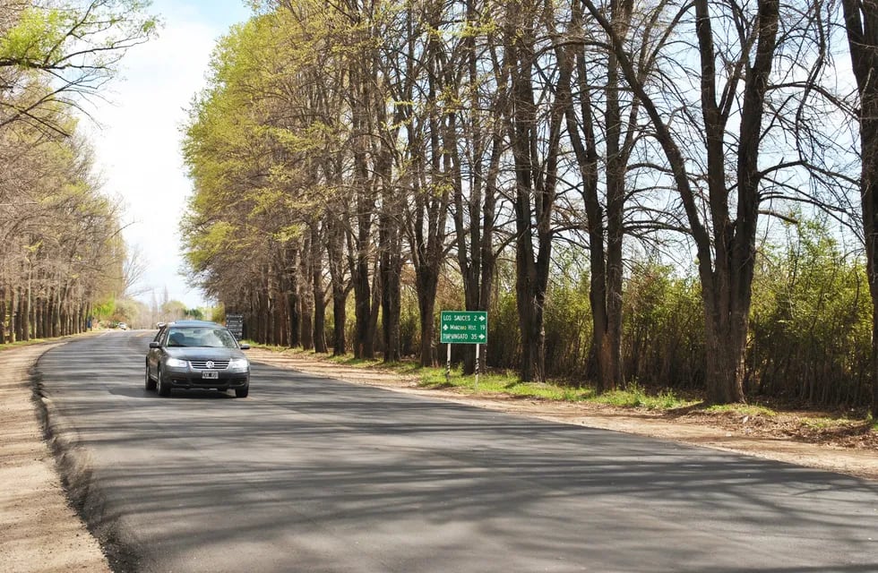 La concurrida Ruta Provincial 94 de Tunuyán fue asfaltada de punta a punta por la Dirección Provincial de Vialidad.