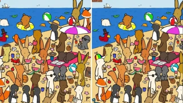 Test viral: ¿sos capaz de encontrar las siete diferencias de los animales en la playa?