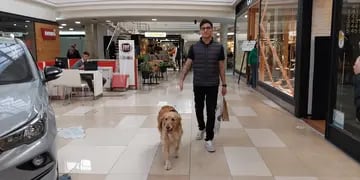 Mendoza Shopping se posiciona como el primer Shopping Pet Friendly