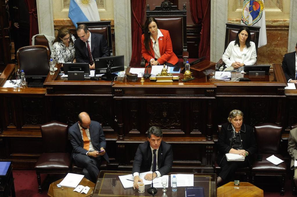 Posse respondió preguntas de los senadores en su primera sesión informativa (Foto: Federico López Claro)