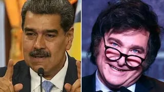 Maduro le ofreció dos bioinsecticidas para el dengue al gobierno “neonazi y fascista” de Milei