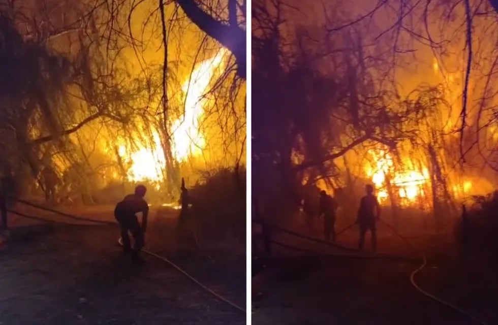 Las llamas que se desataron en Colonia Segovia demandaron horas de trabajo por parte de Bomberos Voluntarios para su extinción. Gentileza