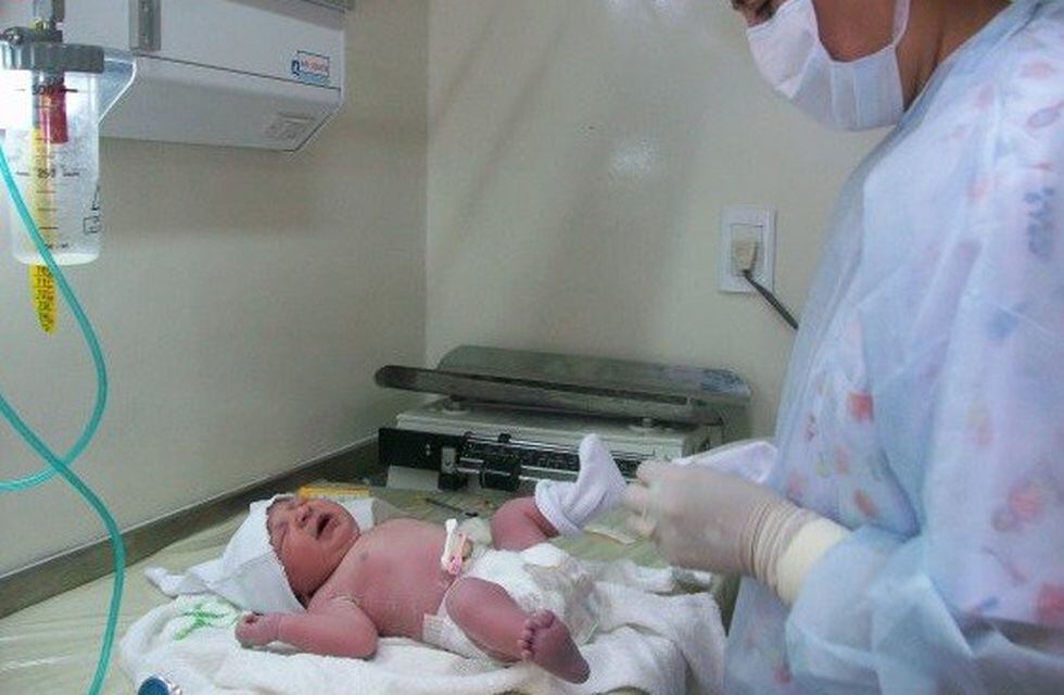 En Argentina, se descarta el 99% de los cordones umbilicales de los recién nacidos.