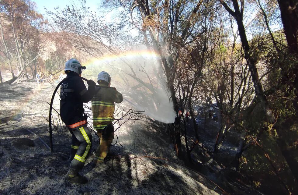 El fin de semana se registró un siniestro, aparentemente por un fuego de asado mal apagado, que  quemó 5 hectáreas de campo entre Vallecitos y El Salto / Nicolás Ríos