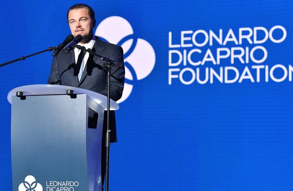 Leonardo DiCaprio preside su propia fundación.