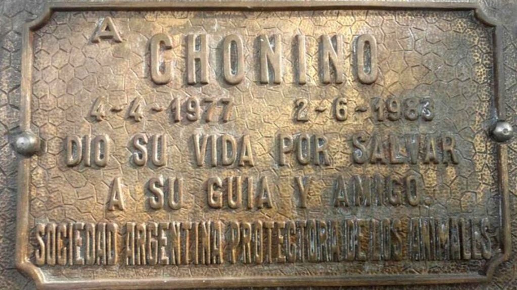 Homenaje a Chonino, el ovejero alemán por el que se celebra en Argentina el Día Nacional del Perro cada 2 de junio (Gentileza)