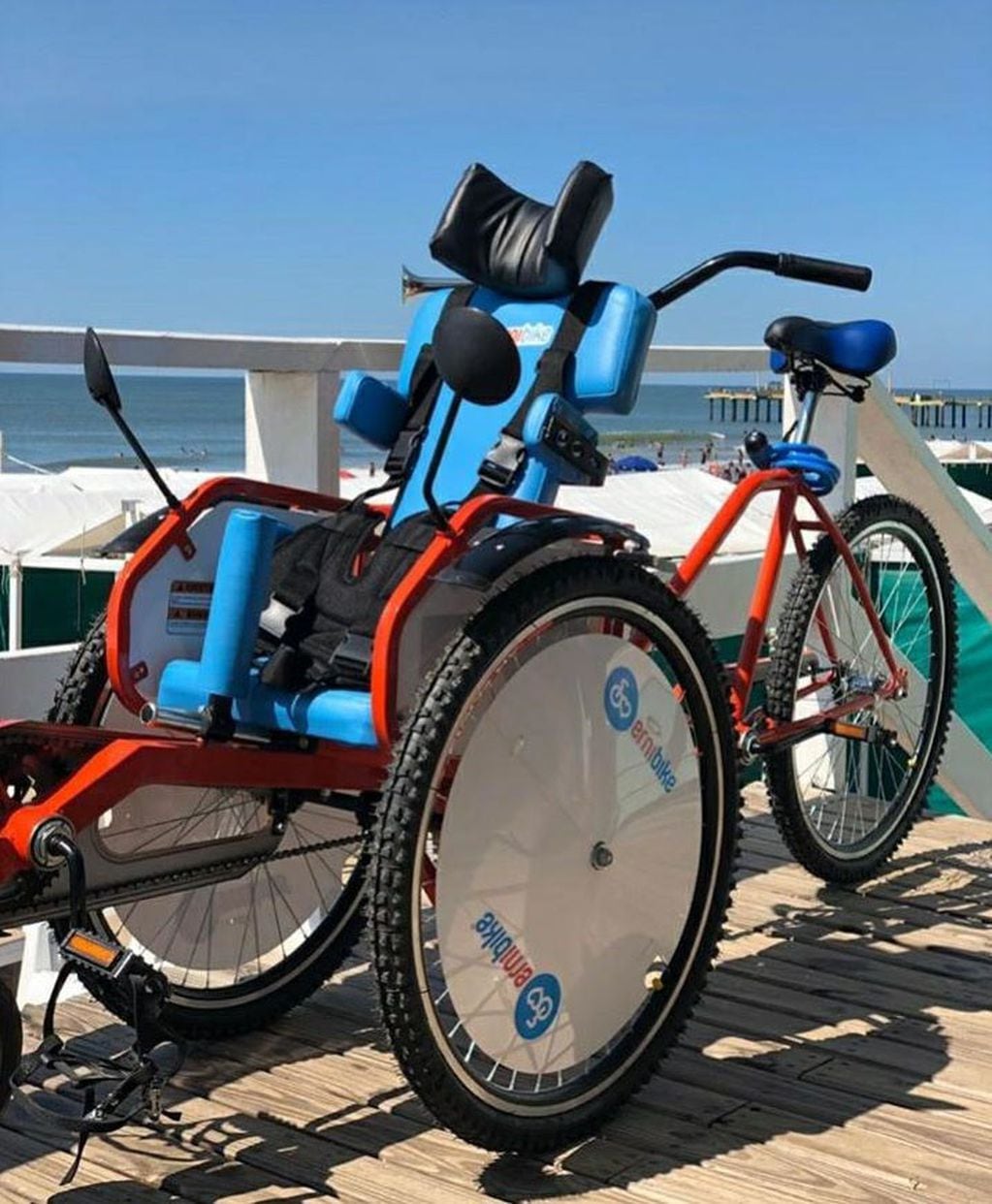 Estos rodados rehabilitan y estimulan a personas con discapacidades. Foto: Web

 