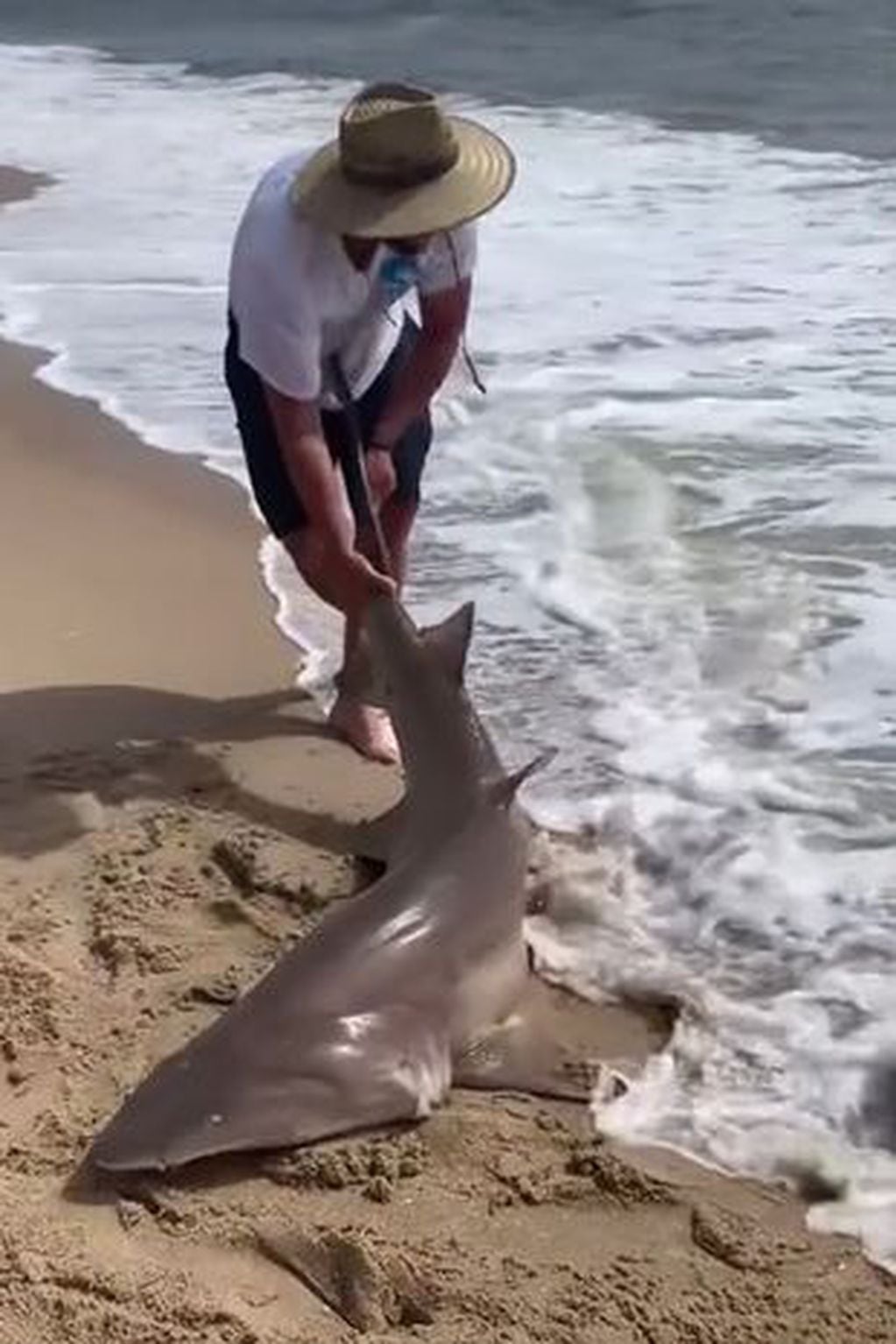 Un grupo de pescadores sometió a un tiburón y le dio cerveza.