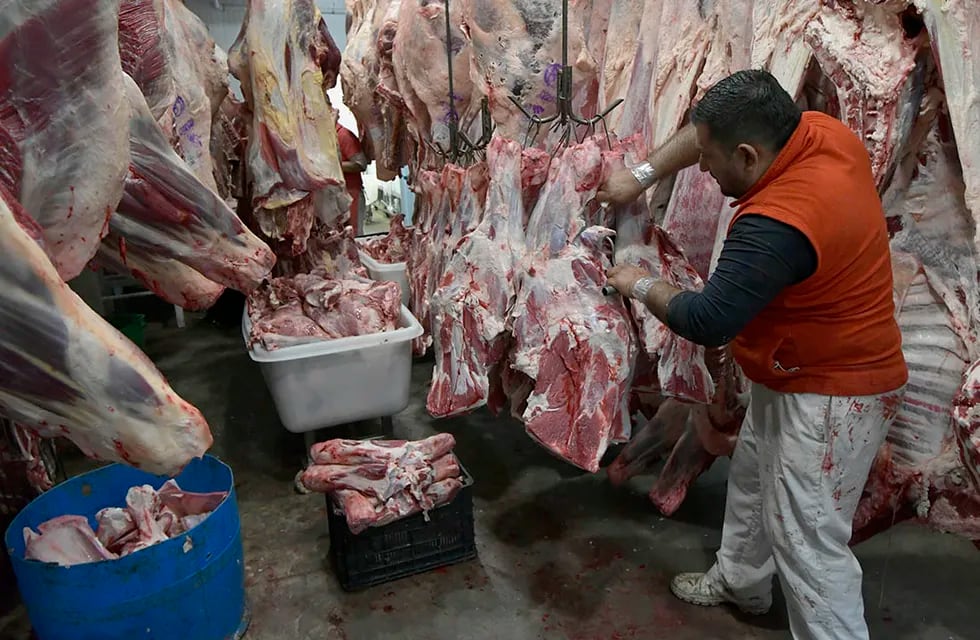 Desde CREA plantean que el precio de la carne, que se ha mantenido por debajo de la inflación, funcionó como ancla del IPC general. Foto: Orlando Pelichotti / Los Andes