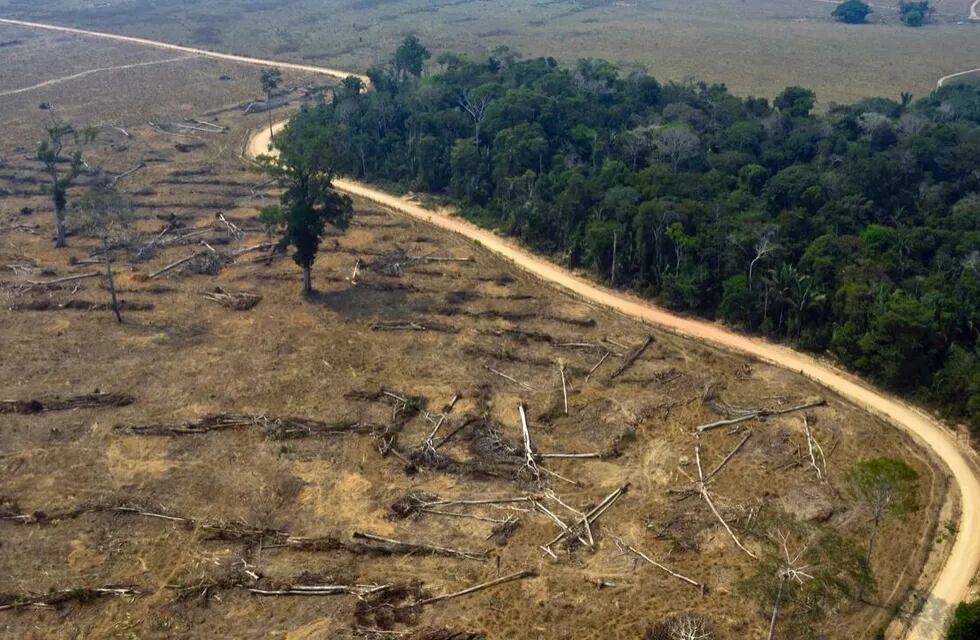 La deforestación de abril en la amazonia brasileña dejó cifras muy preocupantes. Especialistas aseguran que podría haber peligrosas sequías.