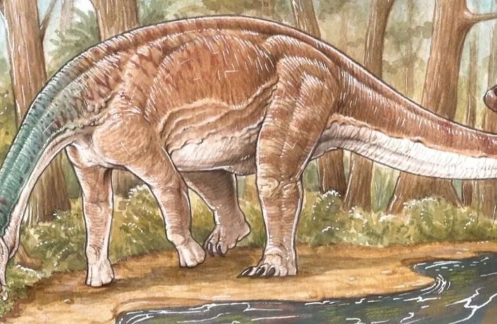 Inawentu oslatus, el "imitador" del saurópodo rebaquisáurido que habitó la Tierra durante el período Cretácico Superior. Foto: Gentileza CONICET