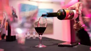 La Capital Internacional del Vino conmemoró el Día Mundial del Malbec