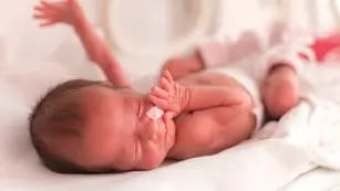 ¿Cómo cuidar al bebé prematuro luego del alta?