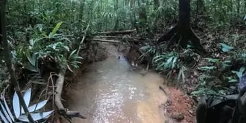Qué pasó y qué se sabe de los 4 chicos perdidos en la selva de Colombia