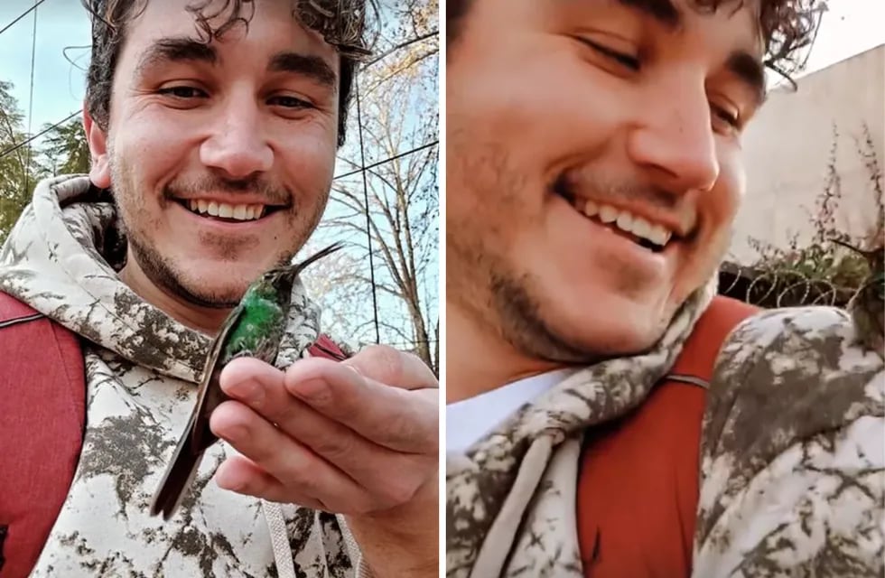 Un joven fue sorprendido por un colibrí, que se posó sobre su hombro y lo acompañó a caminar.