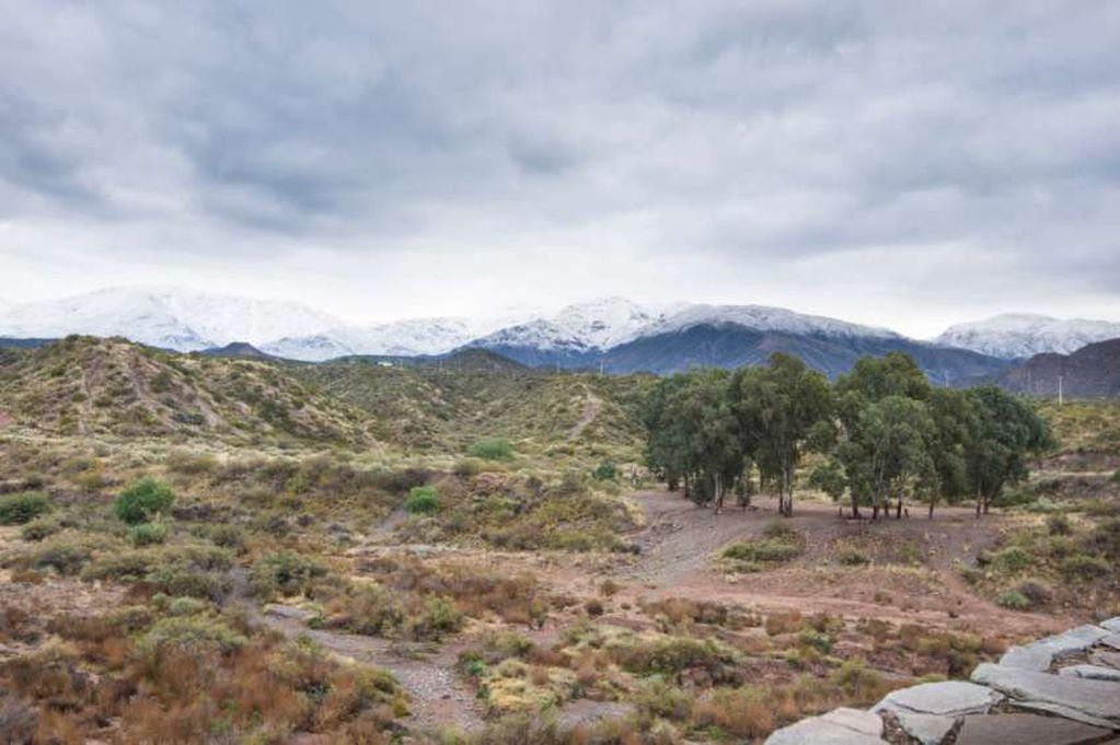 
Protección. El objetivo central del proyecto (que se divide en dos) es preservar la flora y la fauna, y convertir la zona en una reserva de 76.000 hectáreas | Mariana Villa / Los Andes
   