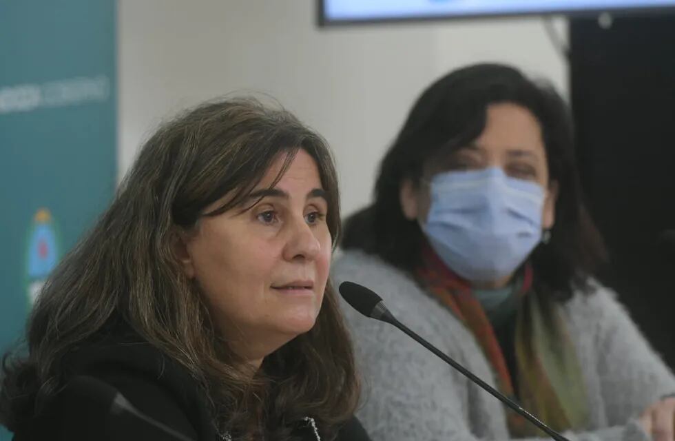 La ministra de Salud Ana María Nadal en conferencia de prensa. Ignacio Blanco / Los Andes
