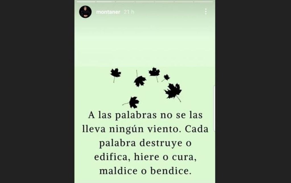 La historia de Ricardo Montaner en Instagram 
