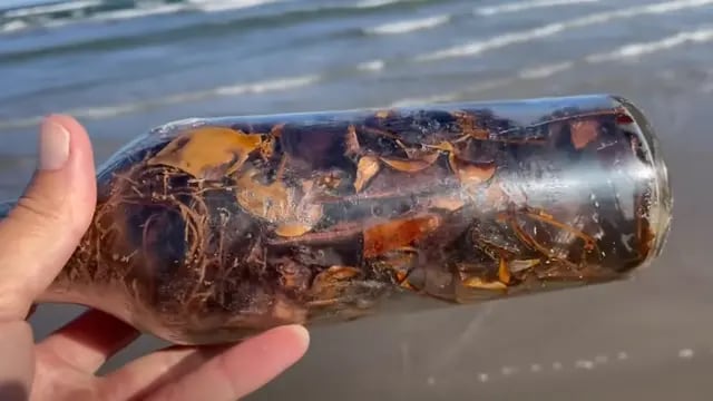 Aparecen extrañas “botellas de brujas” en el Golfo de México e investigadores se niegan a abrirlas