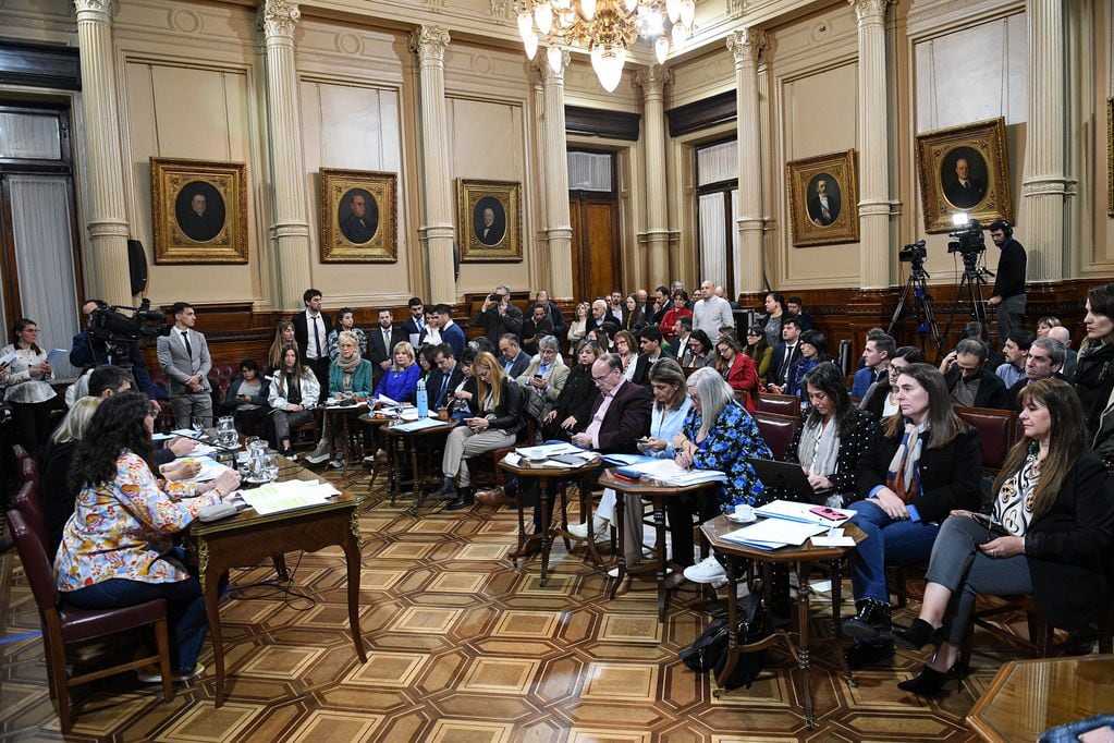 El debate sobre los alquileres temporarios pasó al recinto del Senado (Foto: Comunicación Senado)