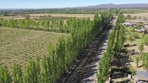 Irrigación Mendoza