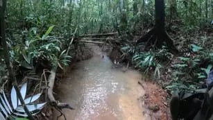 Qué pasó y qué se sabe de los 4 chicos perdidos en la selva de Colombia