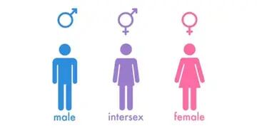 En Soy lo que Soy hablamos de intersexualidad, un término que representa a una minoría que ha sido invisibilidad por la heteronormatividad.