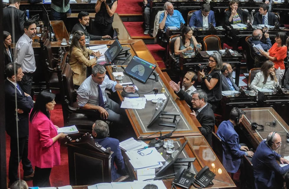 La Cámara de Diputados durante el debate de la "ley ómnibus" en sesiones extraordinarias (Foto: Federico López Claro)