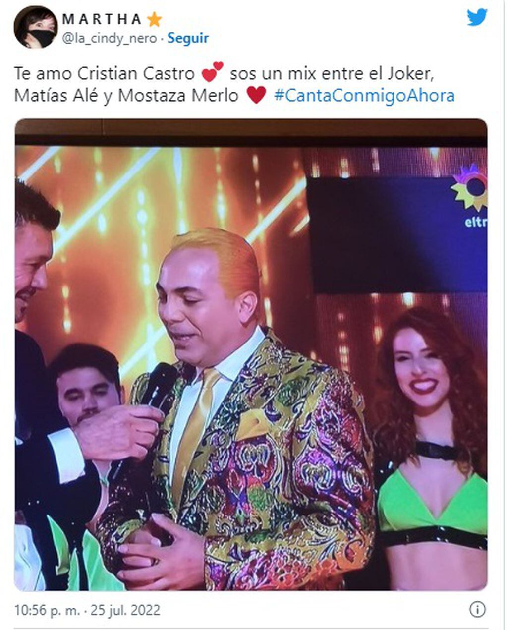 Una usuaria dijo que Cristian Castro era una mezcla entre el Joker, Matías Alé y Mostaza Merlo